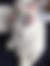 sahiplendirme için kedi ilanlari gösteren ikinci küçük fotoğraf