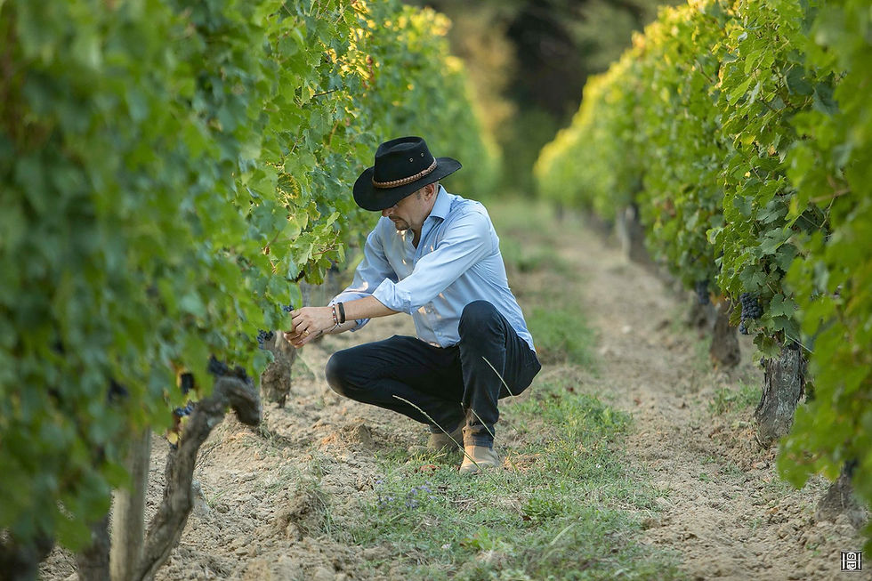 Bordeaux Wine Tours: Guided Tours or Your Own Visits From a Vineyard Base