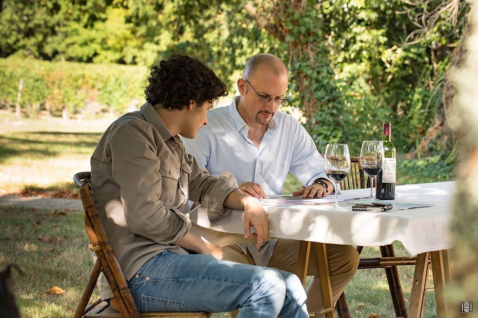 From the UK to a Bordeaux Vineyard Q&A - Part 2