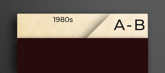 two large text vinyl record dividers for 7-inch 45 rpm records.