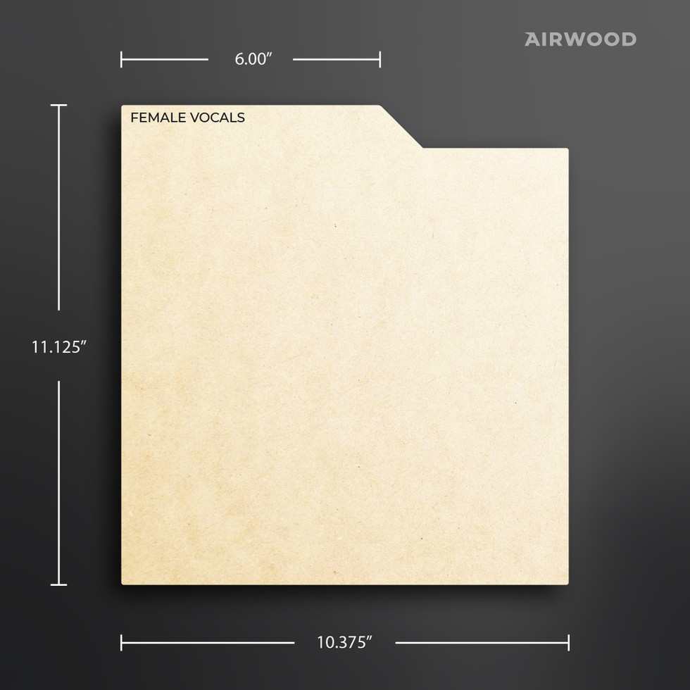 front view of a single vinyl record divider with graphics displaying dimensions