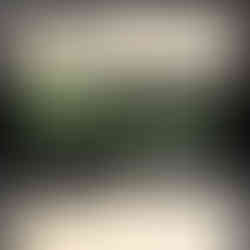 two pairs of vinyl record dividers displaying text alignment options, centered text or left/right text justification