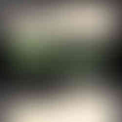 two pairs of vinyl record dividers displaying text alignment options, centered text or left/right text justification