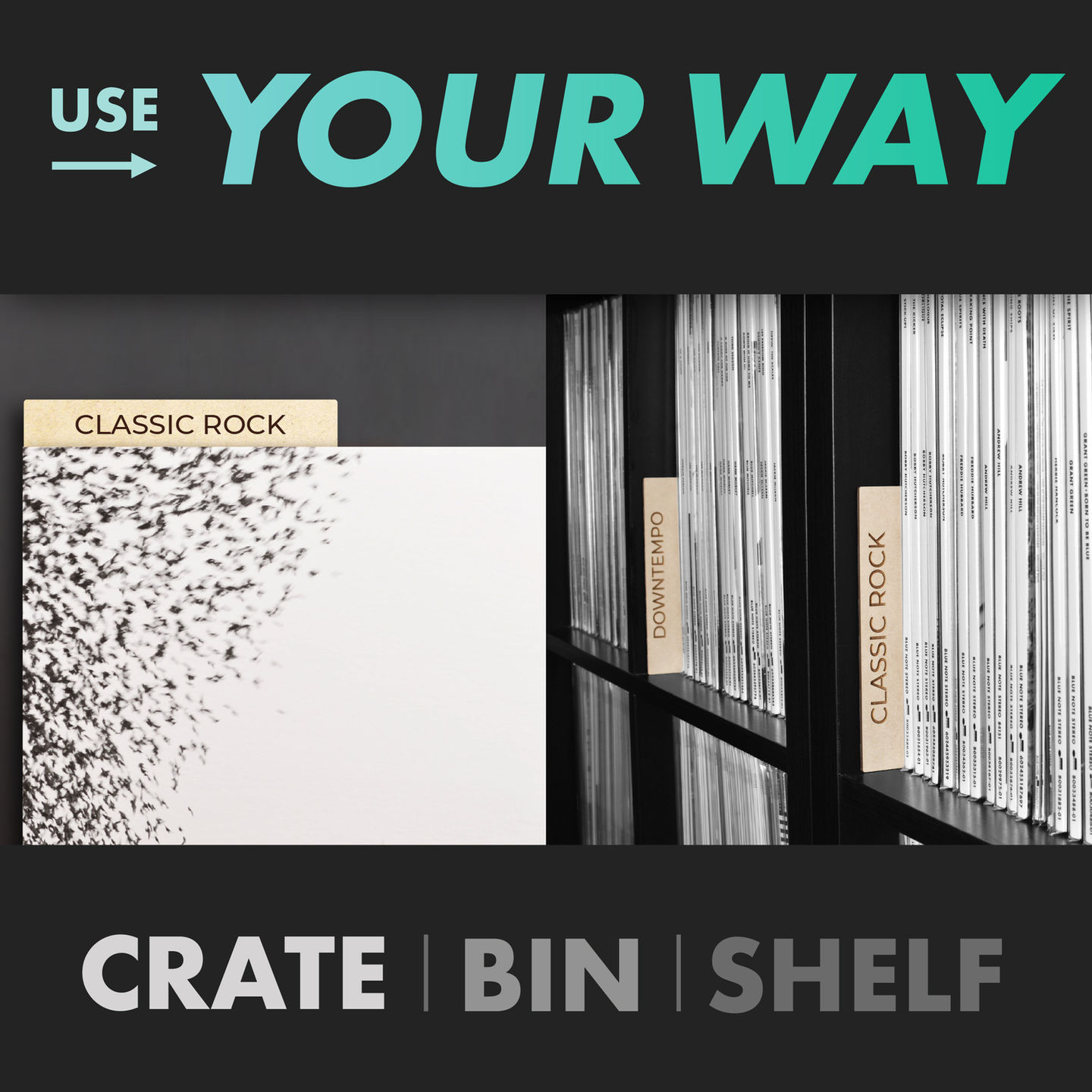 a single vinyl record divider displayed upright behind an album cover, and a 3/4 view of ikea kallax shelving filled with rec