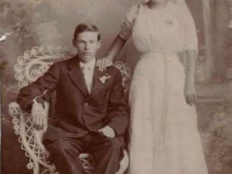 Getting to know your Roots