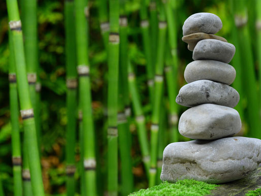 Kinhin - passeio Zen, meditação em movimento