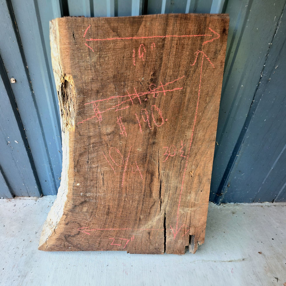 Thumbnail: 01 Walnut Live Edge Short