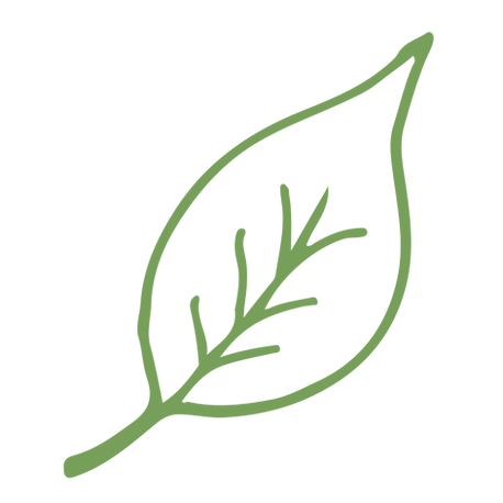 My project-1 (34).png