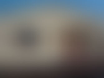 Emanuel Homestead End of Year Report 2017