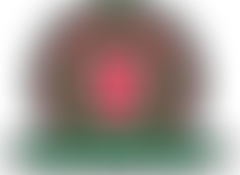 Rose of Sharon Welfare Organization Report October 2023