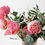 Thumbnail: Half Dozen Garden Rose Vase Arrangement
