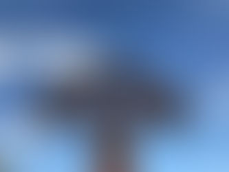 Crotone Il Parco di Pitagora