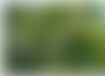 Rignunedu di Caulonia