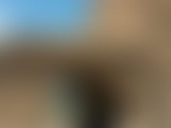 Santuario Maria Santissima Sanità - Badolato (CZ)