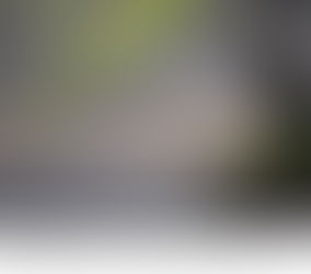 Il parco naturale  di monte Caloria