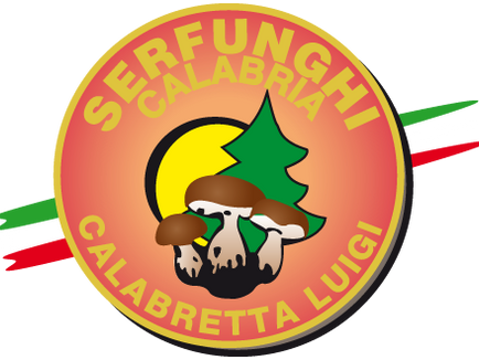 La Serfunghi Calabria di Luigi Calabretta (VV)