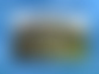 Lazzaro : festa Madonna delle Grazie