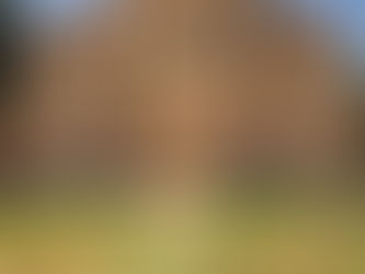 Abbazia di Santa Maria del Patire- Corigliano