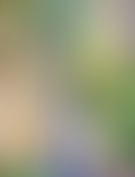 Le " Gole del Raganello" CS