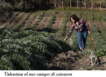 Azienda Agricola Zinurra- Valentina Brizzi