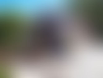 TENUTA BOCCHINERI -Rogliano CS