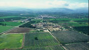 Azienda Agricola Favella 