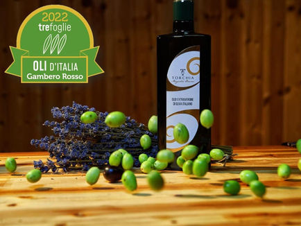 Oleificio Torchia (Tiriolo CZ)