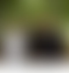 Azienda Agricola Bilardi RC