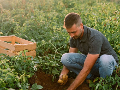 Azienda Agricola Lorenzo Pupo