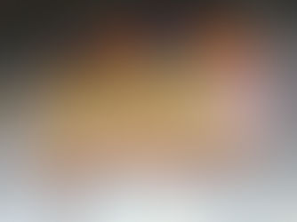 Il museo della castagna