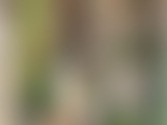 Gallicianò (R.C.) :la fontana dell'amore