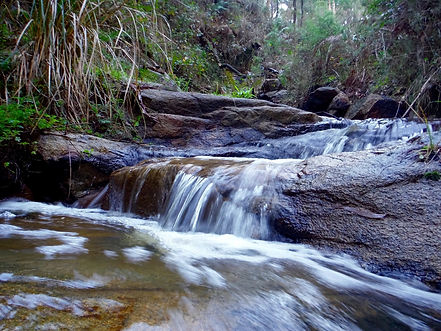 Waterfall Arthurs Seat State Park.jpeg