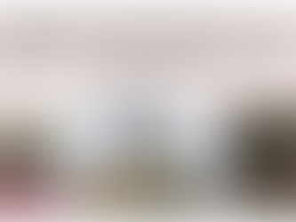 Pe urmele șvabilor bănățeni