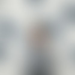 Grant Announcement: Felipe Pineda Rojas