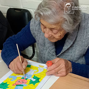 Fundacion Roger Vergara