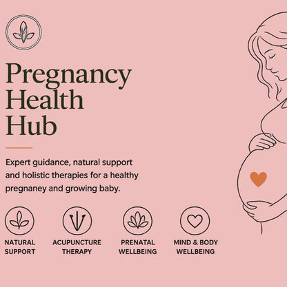 pregnancy health hub image