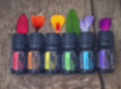 doTERRA Oils