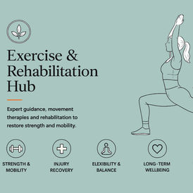 exercise and rehabilitation hub image