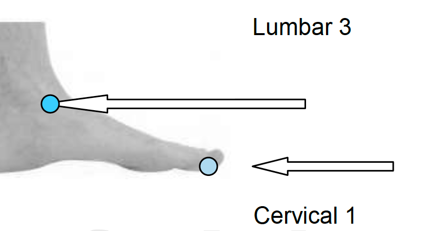 Pressure Points on Feet: A Guide to Induce Labor Naturally