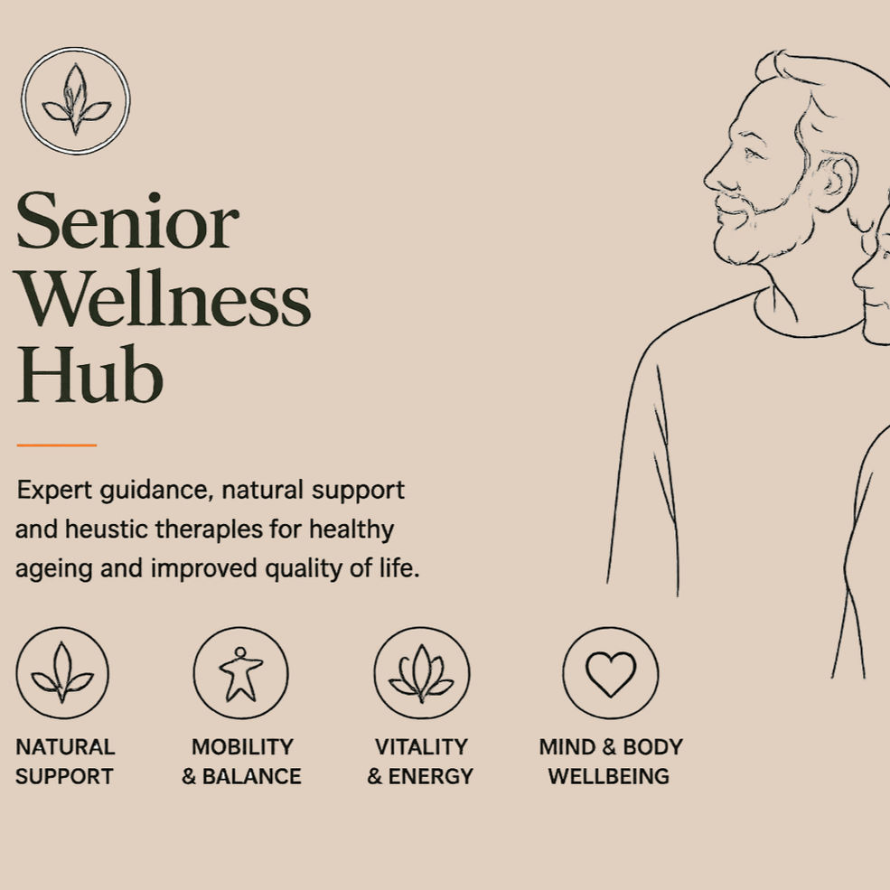 senior wellness hub image
