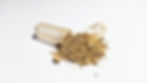a capsule with Ashwagandha powder
