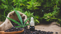 Hemp-derived oil bottle illustrating responsible CBD health claims and labelling