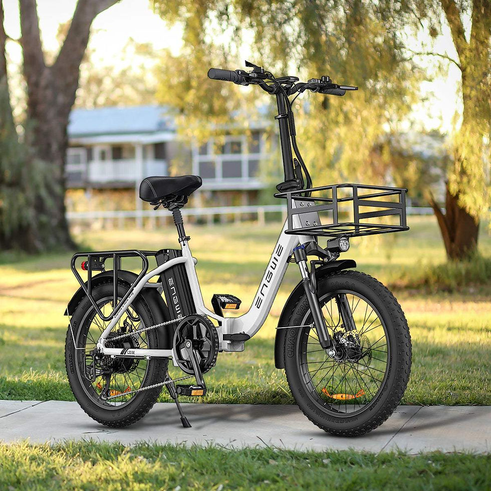 Thumbnail: Engwe L20 SE 250W 20" Foldable Electric Bike 561Wh Trekking Bike Step-through — photo 29