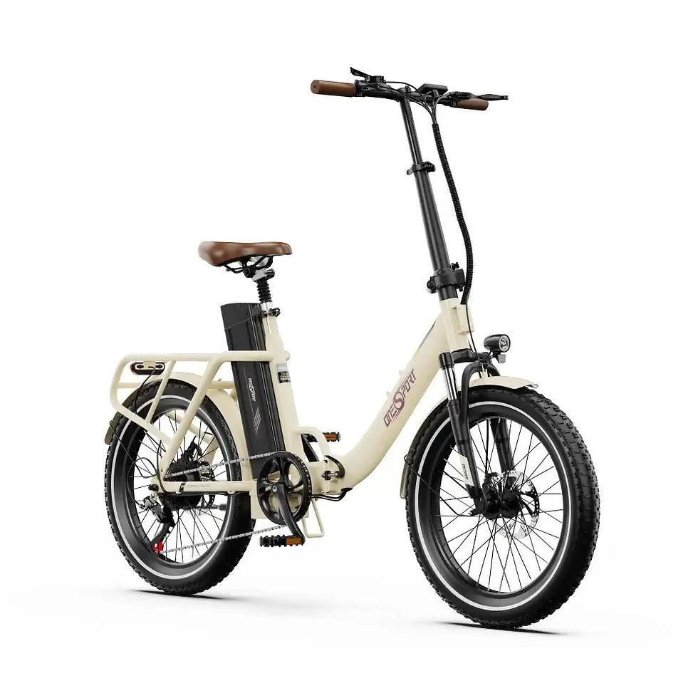 OneSport OT16-2 250W 20" Foldable Electric Bike 816Wh E-bike 48V 17Ah Battery — photo 1