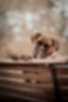 AM6A7648-Edit.jpg