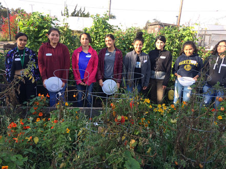 Eight students standing in a community garden.