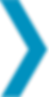 Proteknon-arrow-blue-RGB.png