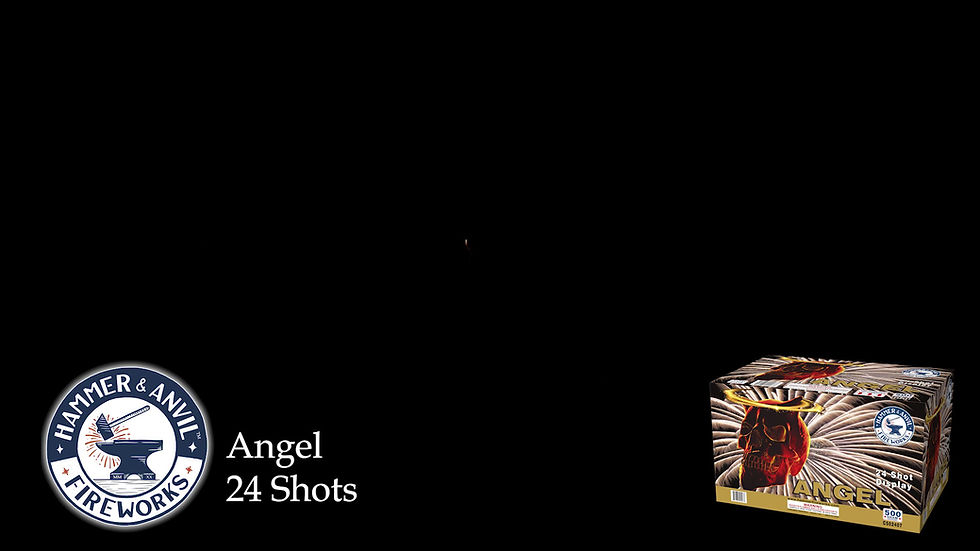 Thumbnail: ANGEL 24 SHOT