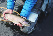 Freshly Caught Fish