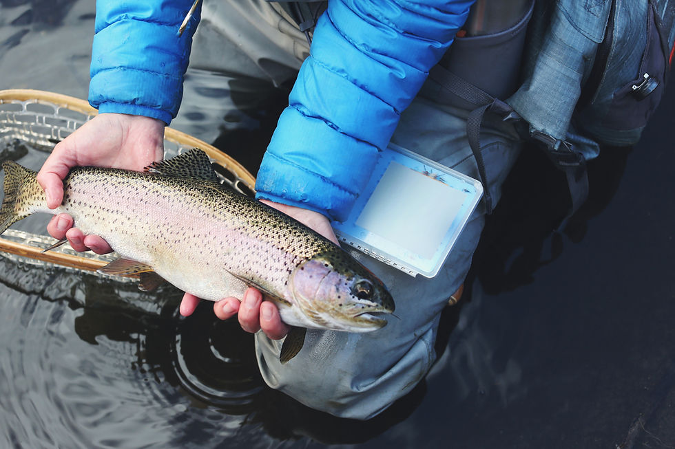 Man Holding Fish